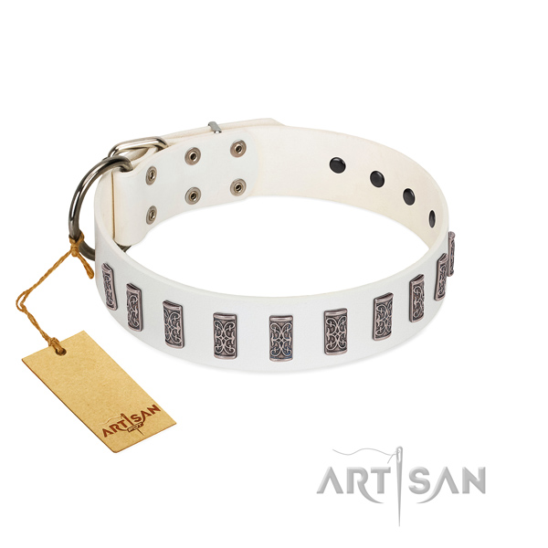 Daily use top notch full grain leather dog collar with embellishments