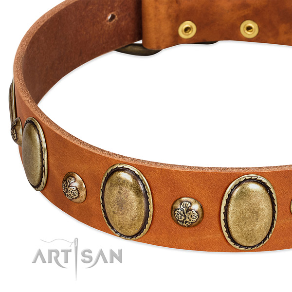 Natural leather dog collar with incredible studs