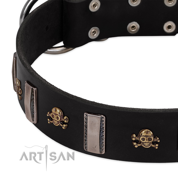 Full grain natural leather dog collar of high quality material with fashionable adornments
