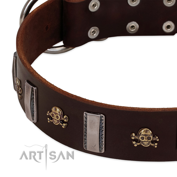 Unique dog collar of natural leather with embellishments