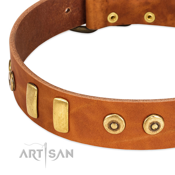 Flexible leather collar with stylish embellishments for your dog