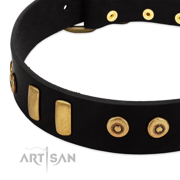 Top notch genuine leather collar with stunning embellishments for your dog