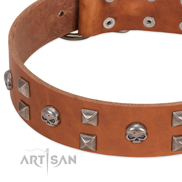 Strong natural leather dog collar crafted for your doggie