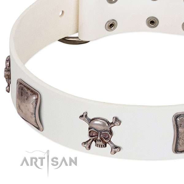 Strong decorations on full grain leather dog collar