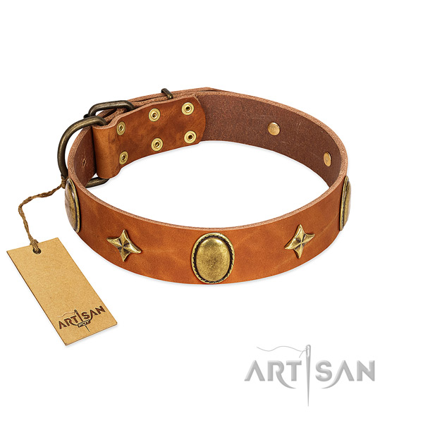 High quality full grain leather collar with exceptional decorations for your dog
