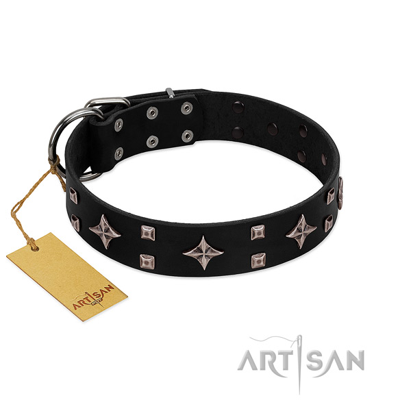 Trendy full grain genuine leather collar for your dog stylish walking