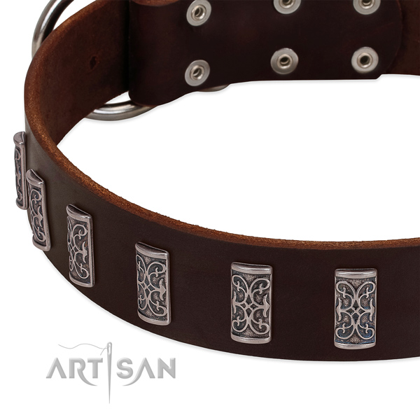 Top rate full grain leather dog collar handcrafted for your doggie