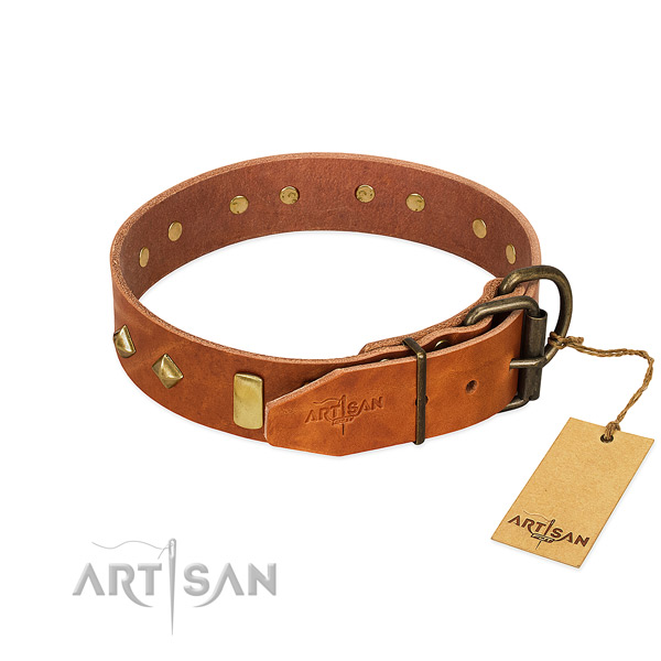 Stylish walking full grain genuine leather dog collar with stunning studs