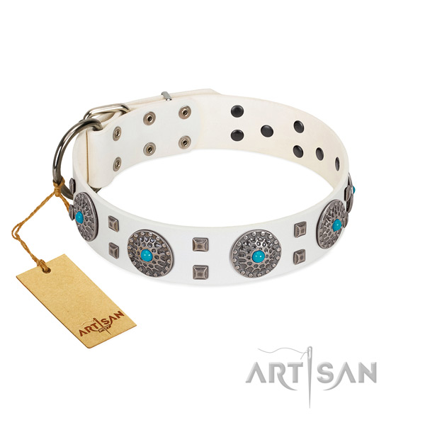 Everyday walking leather dog collar with awesome embellishments