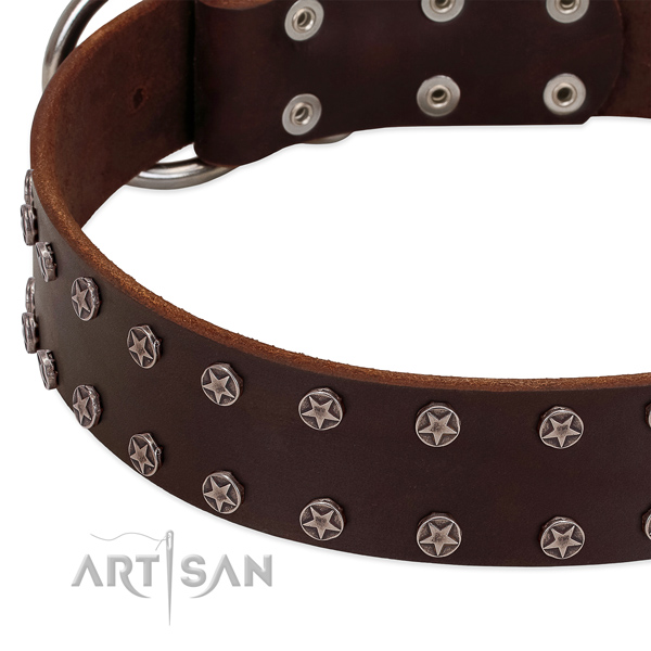 Top notch full grain leather dog collar with studs for your canine