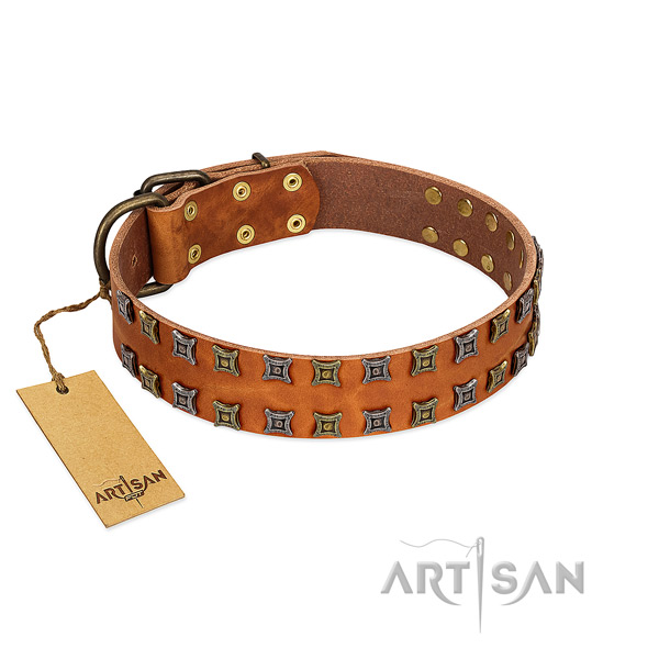 Top notch natural leather dog collar with adornments for your canine