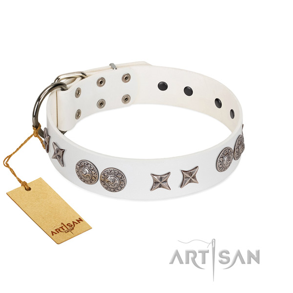 Leather collar with stunning decorations for your dog