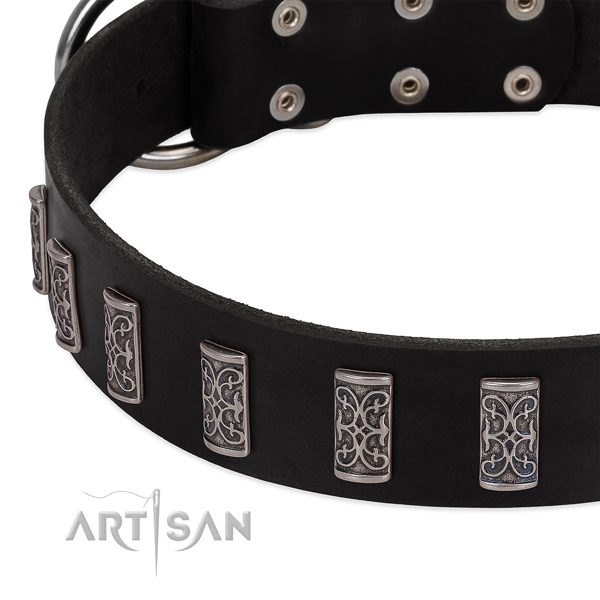Studded genuine leather dog collar with corrosion proof fittings