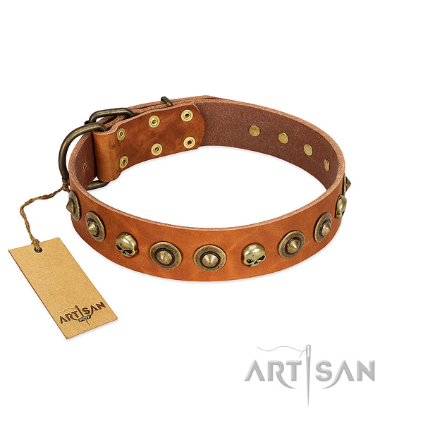 Leather collar with unusual adornments for your dog