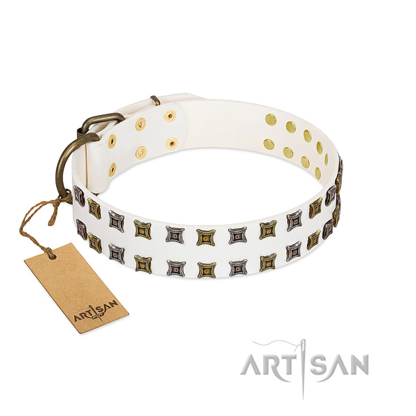Leather collar with trendy adornments for your dog