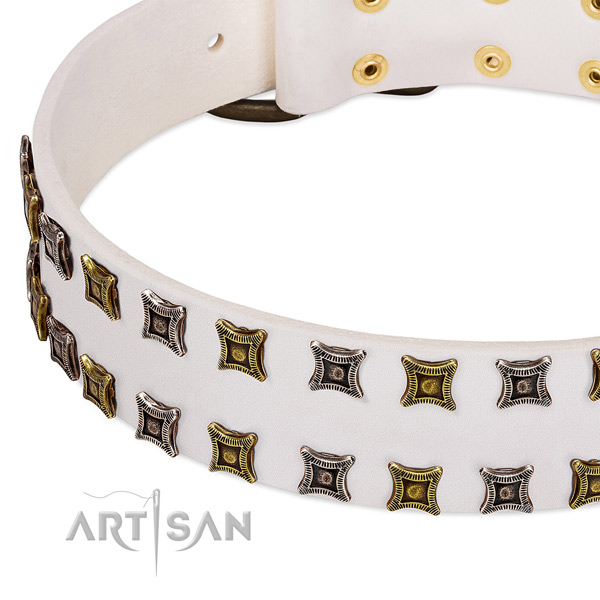 Full grain leather dog collar with decorations for your stylish pet