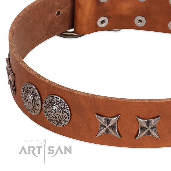 Handcrafted leather dog collar with durable traditional buckle