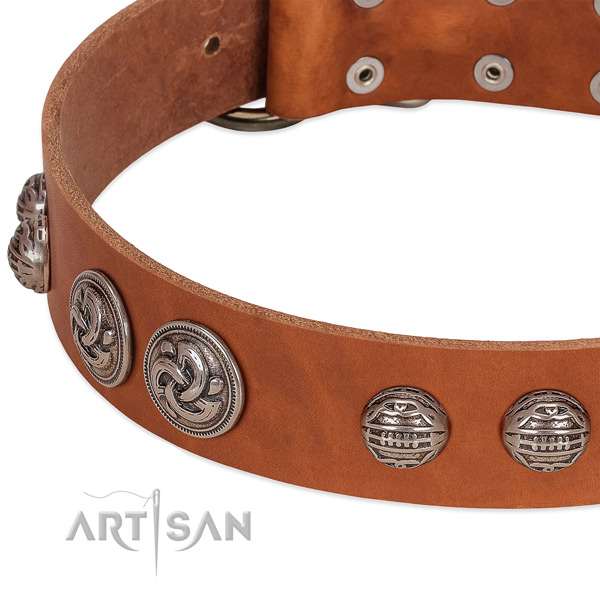 Durable hardware on natural genuine leather collar for fancy walking your four-legged friend