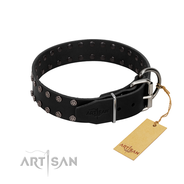 Quality genuine leather dog collar with studs for your doggie