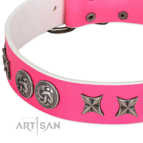 Full grain leather collar with stunning embellishments for your canine