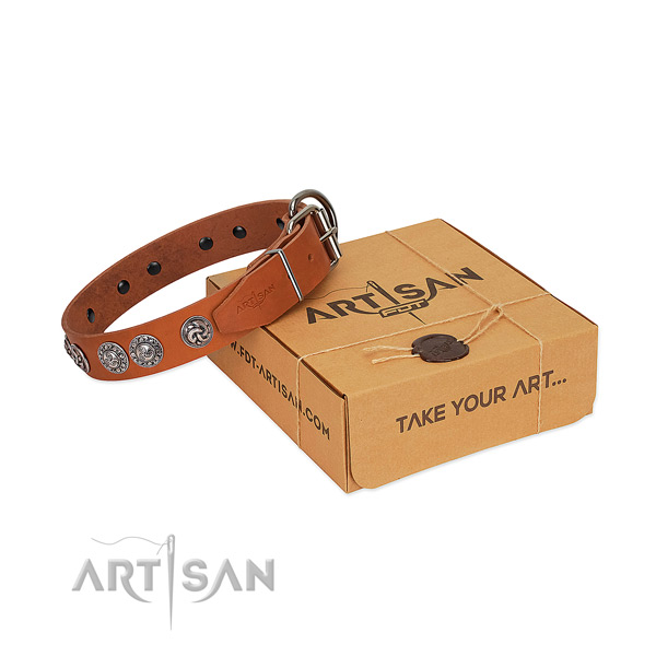 Exceptional genuine leather collar for your canine stylish walking