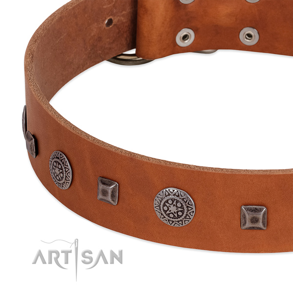 Easy to adjust dog collar of natural leather with decorations