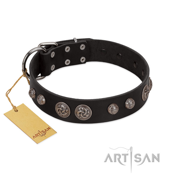 Easy to adjust full grain genuine leather dog collar for fancy walking