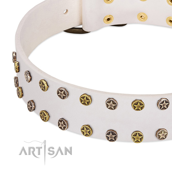 Significant studs on full grain leather collar for your pet
