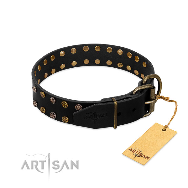 Full grain genuine leather collar with fashionable adornments for your canine