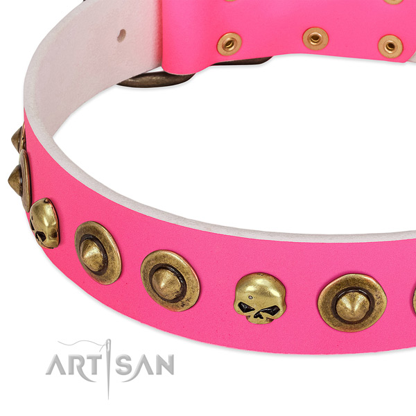 Exceptional studs on full grain leather collar for your pet