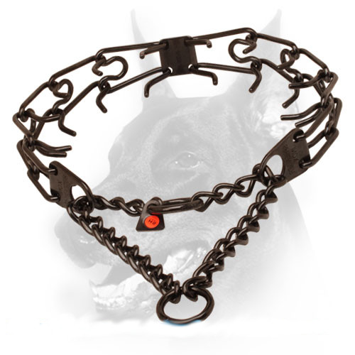 Prong collar of black stainless steel for badly behaved dogs