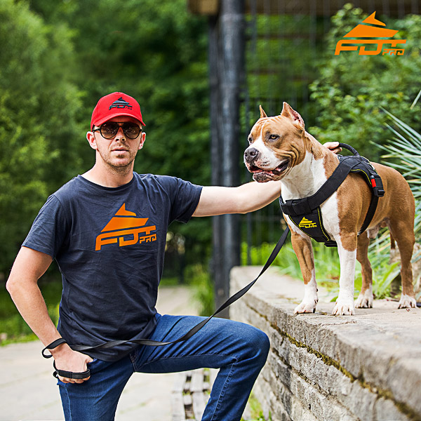 Men T-shirt of Fine Quality Cotton with Orange Logo for Dog Training