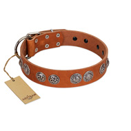 "Woofy Majesty" FDT Artisan Tan Leather dog Collar with Round Silver-like Plates