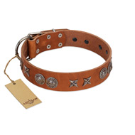 "Splendid Armor" Premium Quality FDT Artisan Tan Designer dog Collar with Shields and Stars