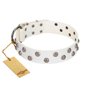 "Wild Flora" FDT Artisan White Leather dog Collar with Silver-like Engraved Studs